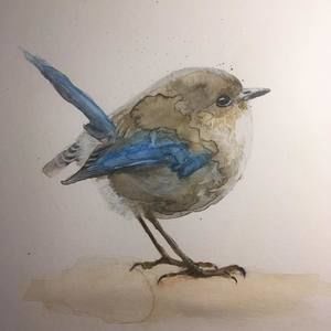 Meet your Posher, Julia